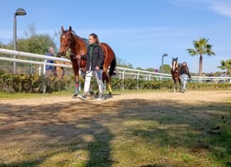 El hipódromo acoge este domingo la cuarta jornada del año el hipódromo