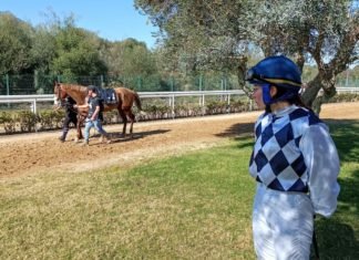 El Memorial Javier Piñar Hafner protagoniza la próxima jornada hípica memorial javier piñar hafner