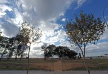 El nuevo parque canino de Montequinto empieza a ser una realidad nuevo parque canino
