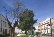 El entorno urbano de La Almona se abre este miércoles nuevo entorno