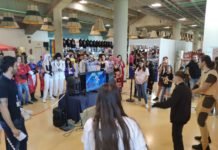 La nueva edición del JapanZone congregó a unas 10.000 personas nueva edición del japanzone