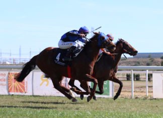 Grandes premios para despedir la temporada hípica grandes premios