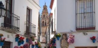 Visita cultural a Córdoba del CEPER El Palmarillo