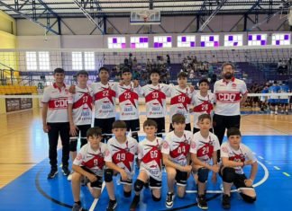 El equipo infantil del C.D. Quintos 2011, campeón de Andalucía equipo infantil