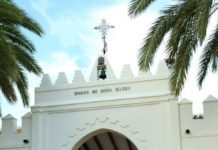 Visitas turísticas para dar a conocer el patrimonio local visitas turísticas