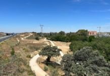 Red de caminos peatonales de estreno en el parque forestal red de caminos