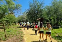 Acción ambiental en la laguna por el Día del Medio Ambiente acción ambiental