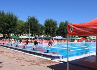 Medallas y mínimas para los nadadores alevines en el andaluz medallas