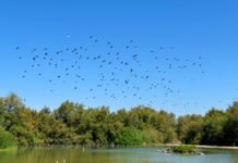 Horario ininterrumpido en la Laguna de Fuente del Rey horario ininterrumpido