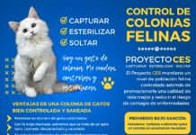 Campaña de control de las colonias felinas campaña de control