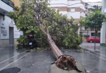 La borrasca Bernard deja más de 150 avisos por incidencias borrasca bernard