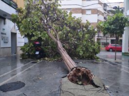 borrasca bernard