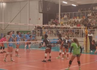 No pudo sumar el FP Pro Voley Cajasol en Socuéllamos no pudo sumar