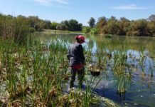 Investigación de la Universidad en la Laguna de Fuente del Rey investigación