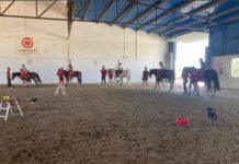 El Programa de Terapias Ecuestres vuelve al hipódromo programa de terapias ecuestres