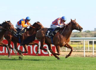 El público vibró con el inicio de la temporada en el hipódromo público