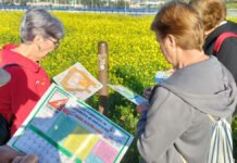 Los mayores se acercan al deporte de orientación