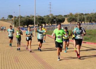 700 corredores se sumaron a la 24 Media Maratón Tierra y Olivo 700 corredores