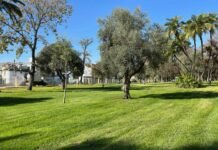 El Parque de La Alquería reabre tras el temporal de viento parque de la alquería