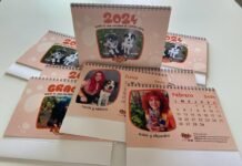 Calendario solidario 2024 dedicado a los que ayudan a ayudar calendario solidario 2024