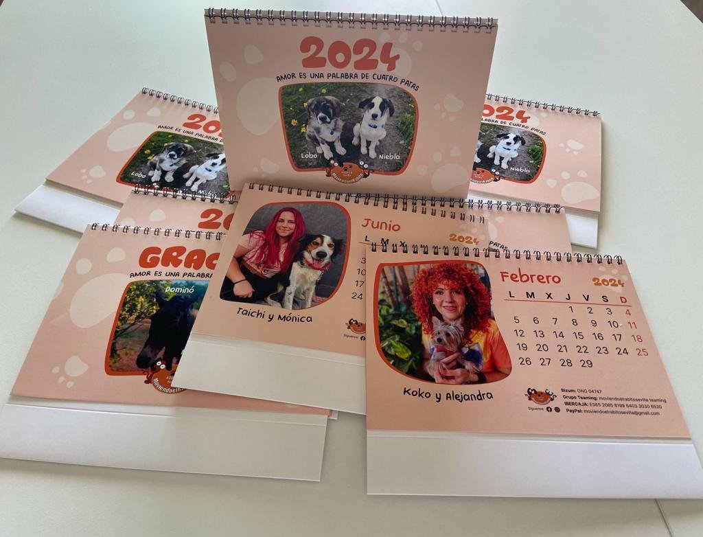 calendario solidario moviendo el rabito calendario solidario 2024