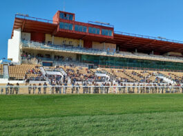 Emocionante y accidentada tercera jornada de carreras de caballos emocionante y accidentada