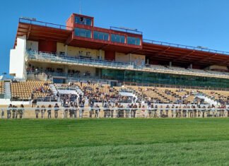 Emocionante y accidentada tercera jornada de carreras de caballos emocionante y accidentada