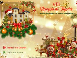 VIII Recogida de Juguetes