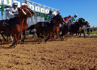 El sábado se disputa la quinta jornada de carreras de caballos el sábado