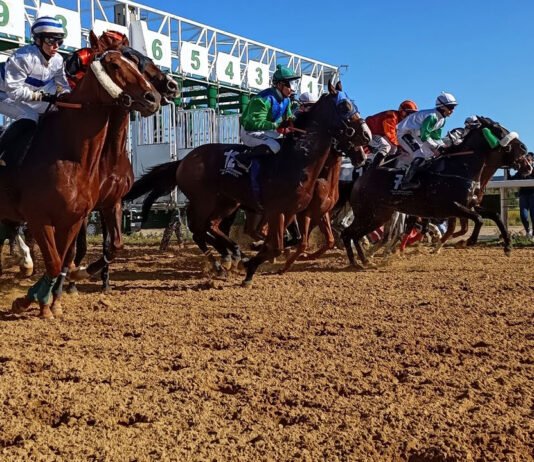 El sábado se disputa la quinta jornada de carreras de caballos el sábado