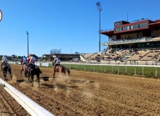 Tercera jornada de la temporada en el hipódromo tercera jornada de la temporada