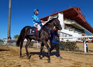 Gran Premio Santander Cup en la 4ª jornada hípica gran premio santander cup