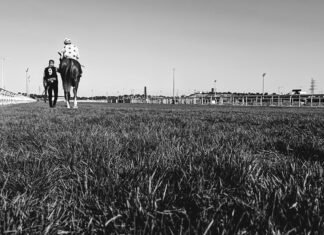 Última jornada hípica del año en el hipódromo nazareno última jornada hípica