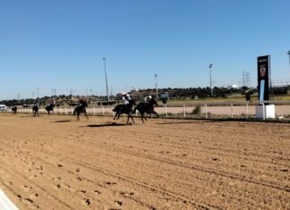 Doblete victorioso de Óscar Anaya en la previa de Navidad doblete victorioso
