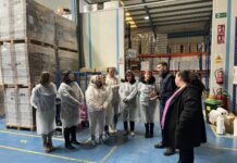 Vives Emplea Saludable inserta a más del 50% de su alumnado vives emplea saludable