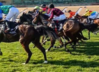 Primera jornada del año en el hipódromo de Dos Hermanas primera jornada del año