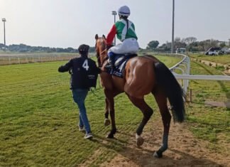 Octava jornada de la temporada hípica en el hipódromo octava jornada de la temporada hípica