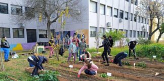 El proyecto Recicomphuertos trabaja con el IES Ibn Jaldún proyecto recicomphuertos