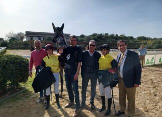 Gran afluencia de público en la 1ª jornada del año en el hipódromo gran afluencia de público