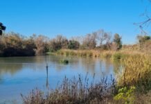 Nuevo dato histórico de visitas a la Laguna de Fuente del Rey nuevo dato histórico
