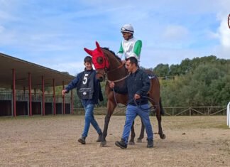 Última jornada de la temporada en el hipódromo última jornada de la temporada