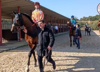 Penúltima dominical de carreras de caballos en el hipódromo penúltima dominical