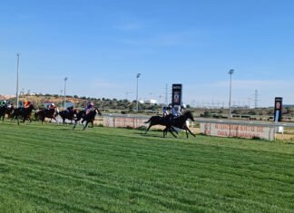 El Memorial Javier Piñar Hafner para Don Bosco con Borja Fayos memorial javier piñar
