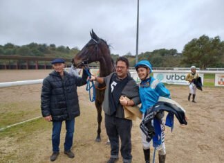 Valle y Anaya hicieron doblete en una jornada hípica mojada valle