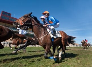 Forever Green y el hipódromo lucharán contra el cambio climático forever green