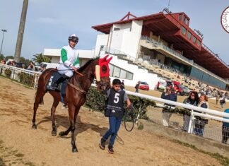 Décima jornada de la temporada hípica en Dos Hermanas décima jornada