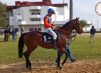 Nueva jornada de la temporada hípica en el hipódromo nazareno nueva jornada de la temporada hípica