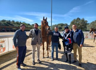 White Bay con Vaclav Janacek gana el Gran Premio de Andalucía white bay