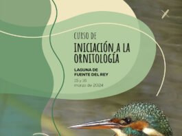 iniciación a la ornitología