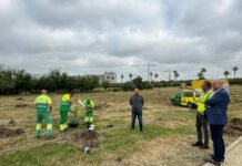 Plantación de 150 olmos en el parque forestal plantación de 150 olmos